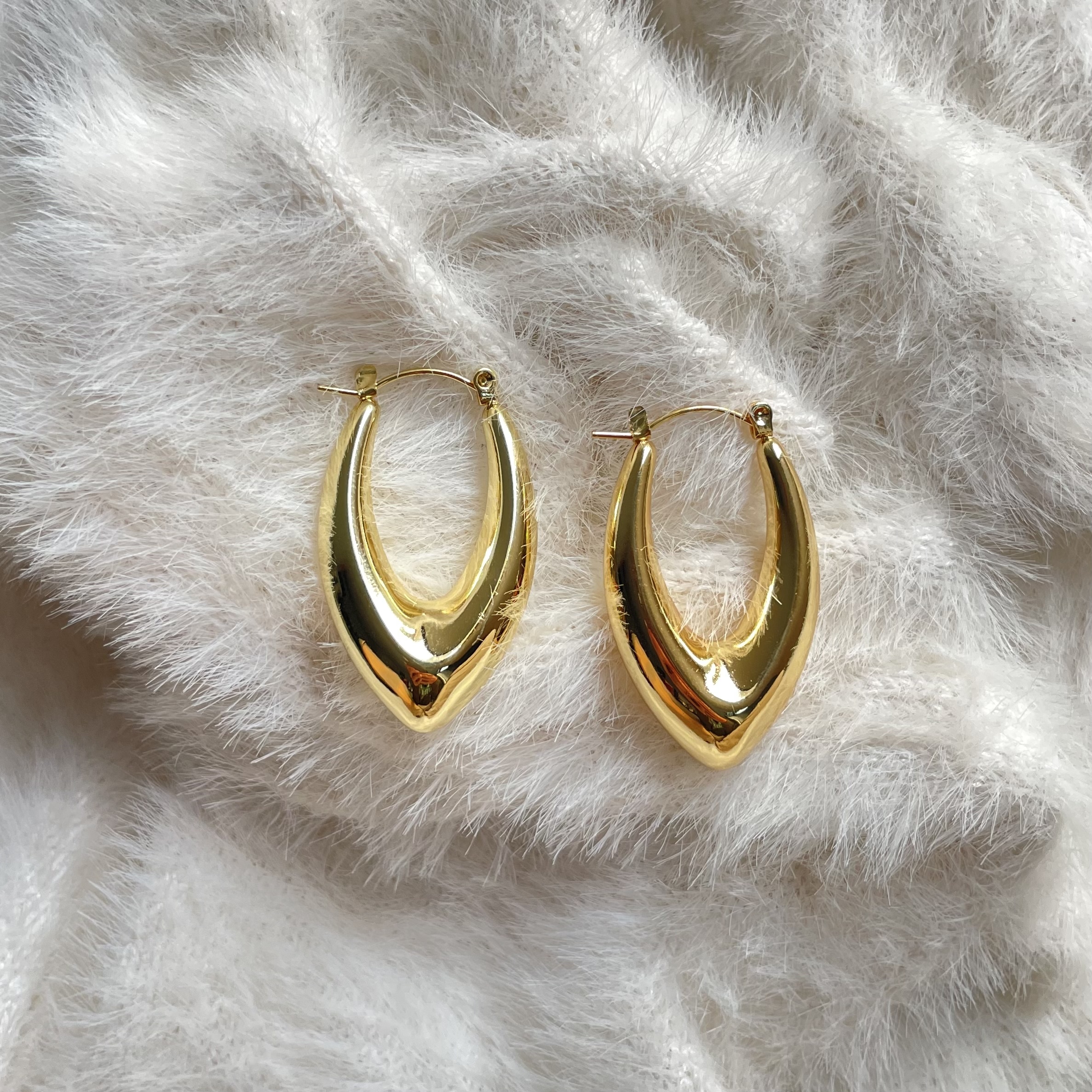 Stylish Hoops Earring