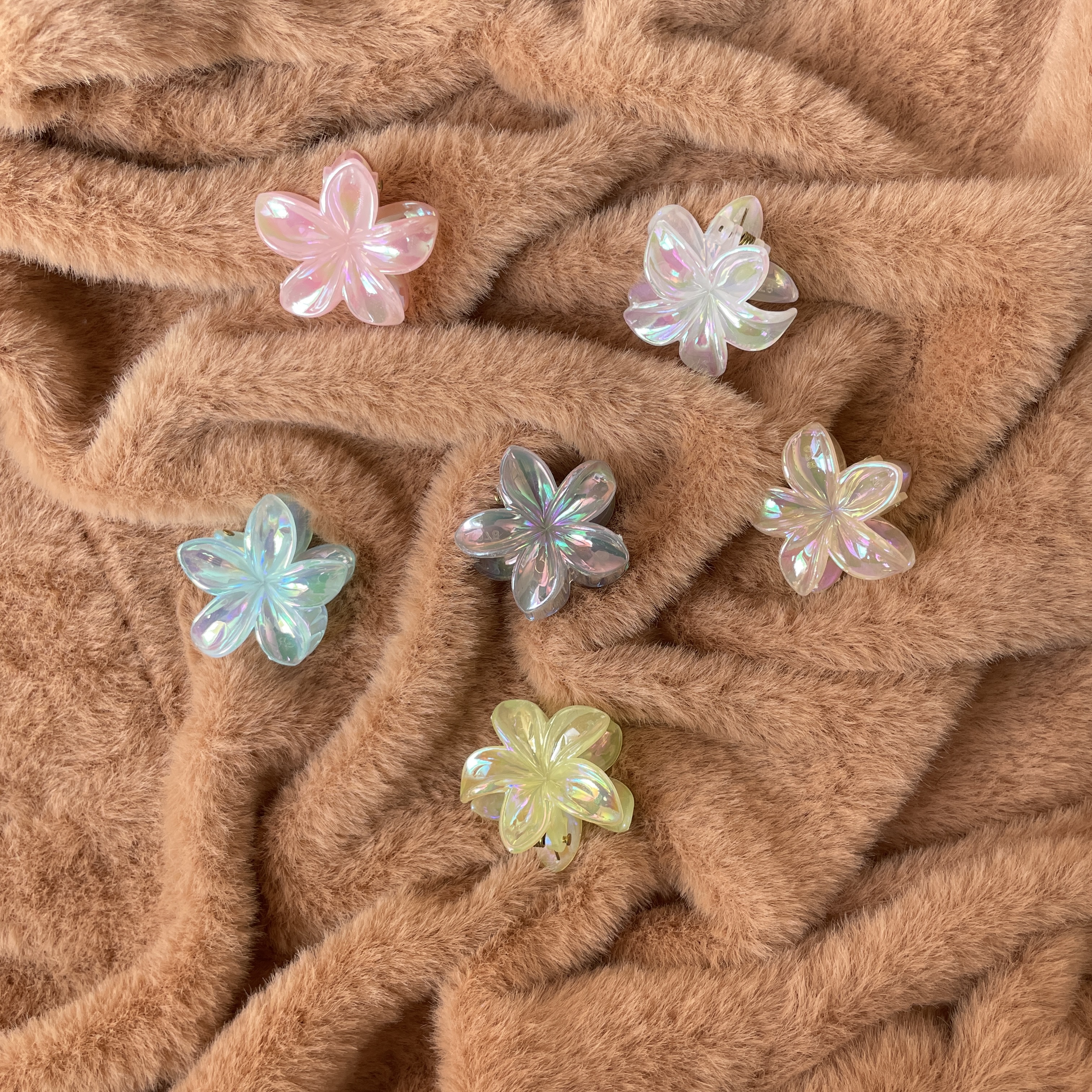 Small Shiny Claw Clip